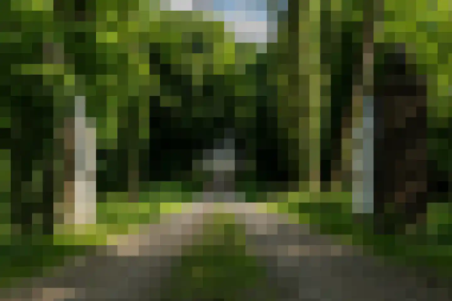 't Hoge Veld 13 Herveld thumbnail 88