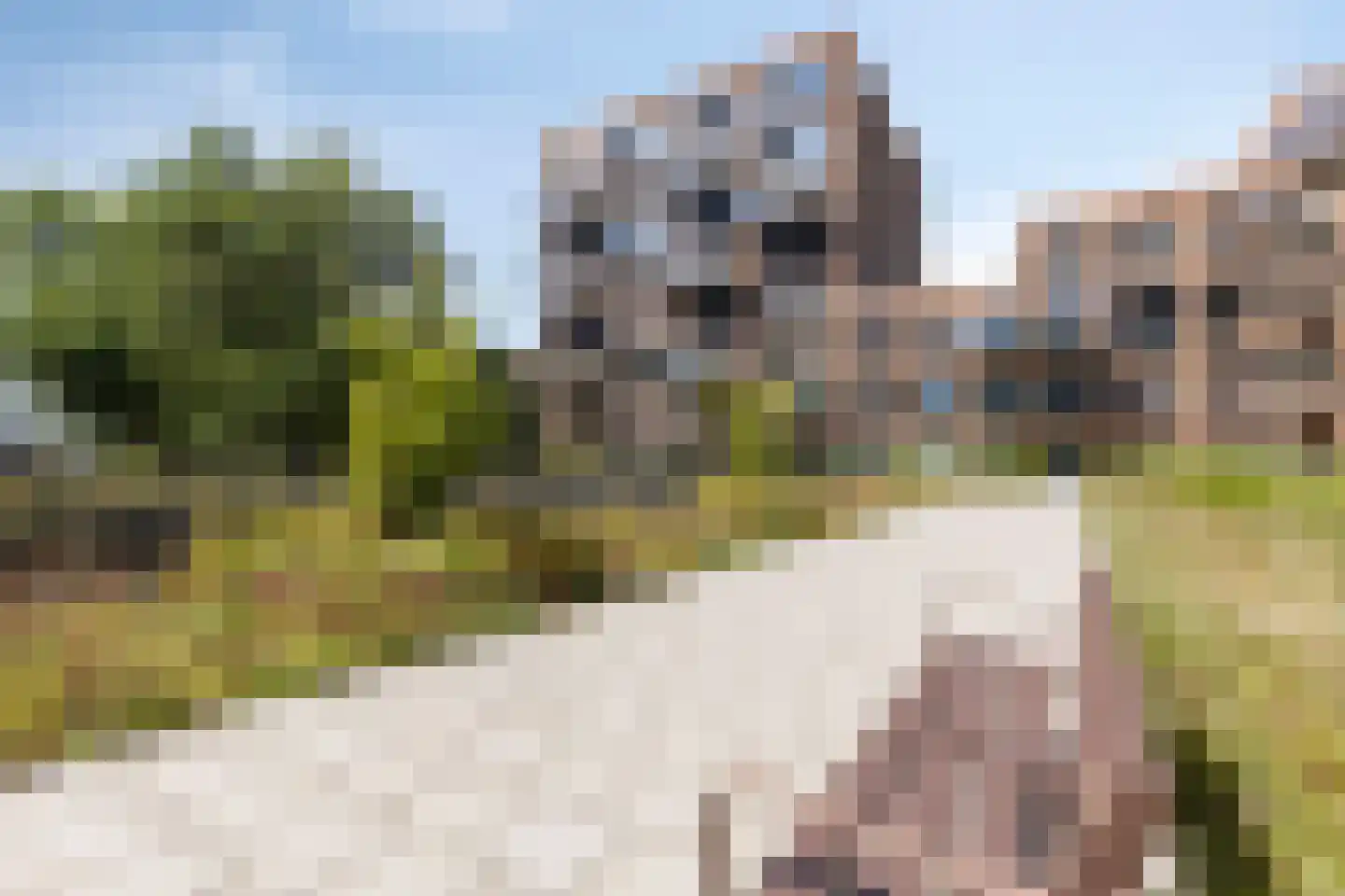't Holle Goed 127 Veenendaal thumbnail 22