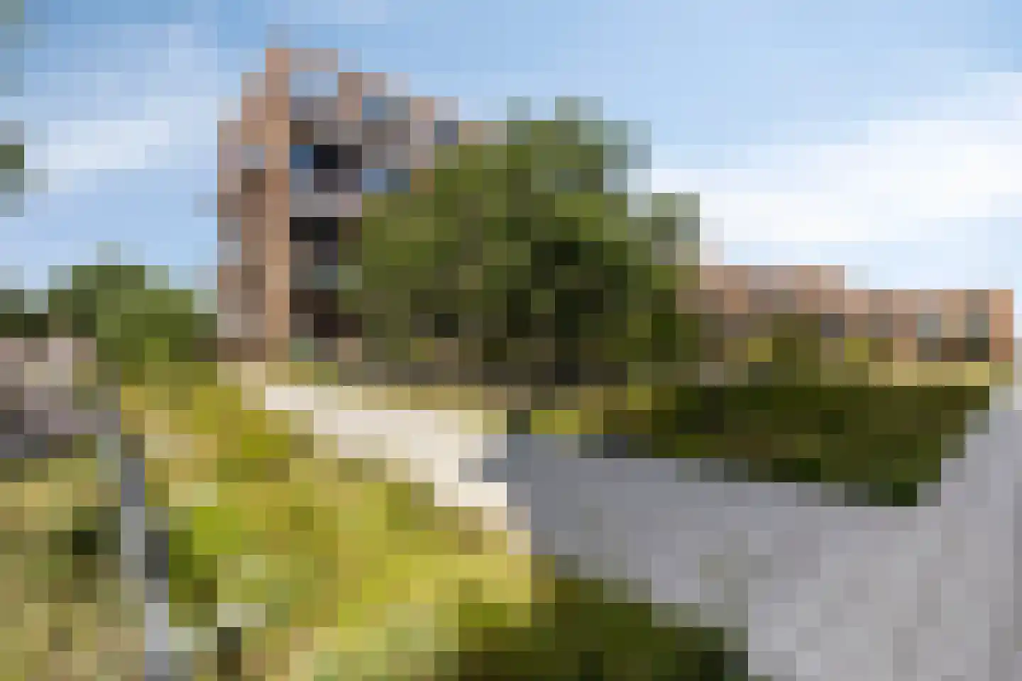 't Holle Goed 127 Veenendaal thumbnail 24