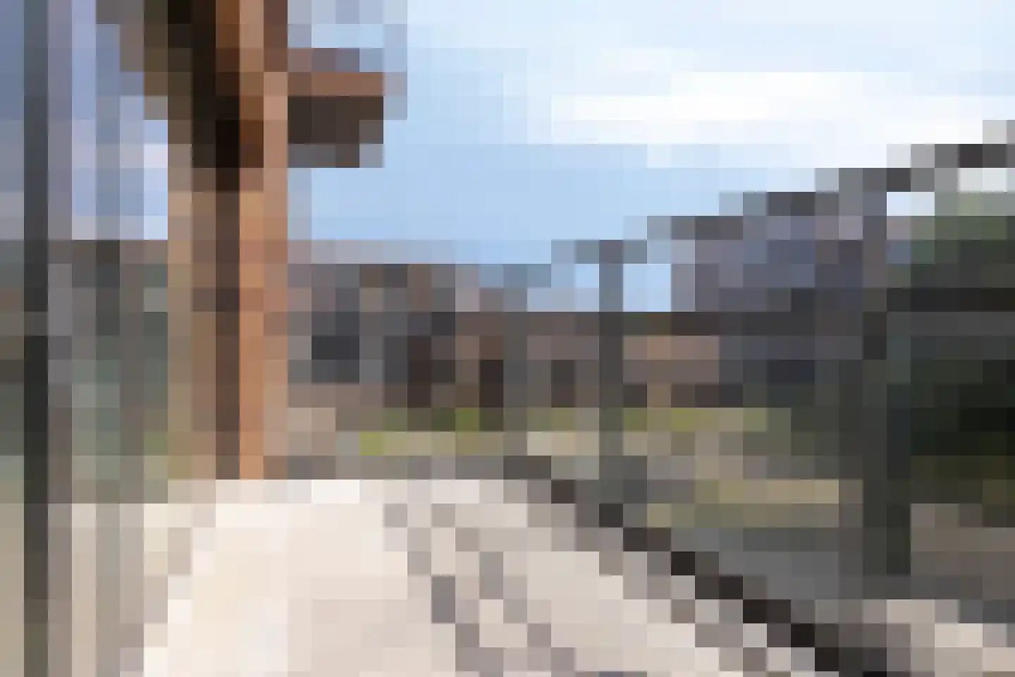 't Holle Goed 127 Veenendaal thumbnail 25
