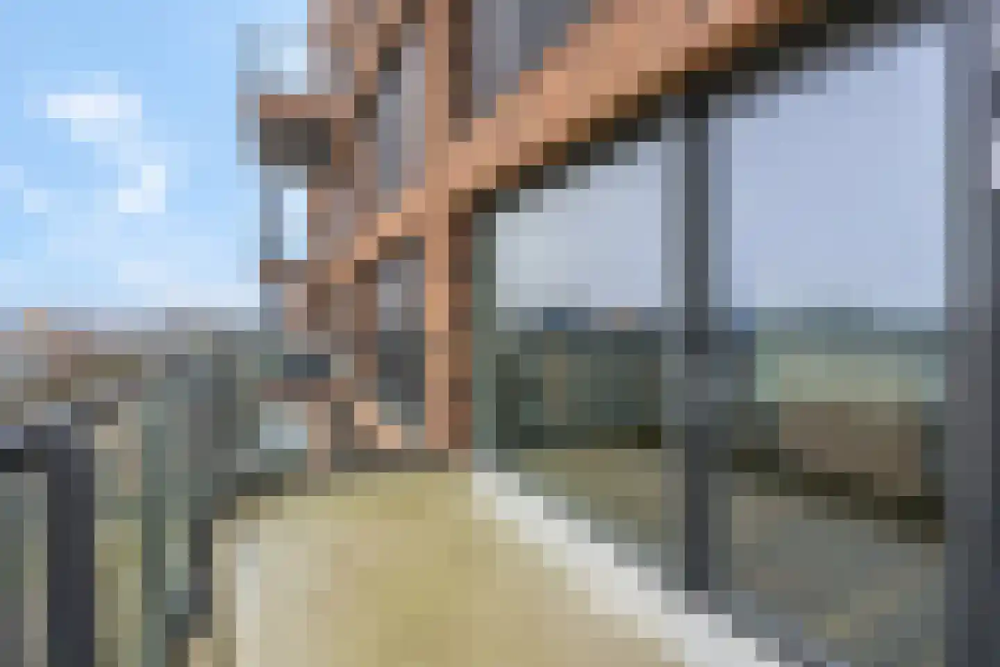 't Holle Goed 145 Veenendaal thumbnail 24