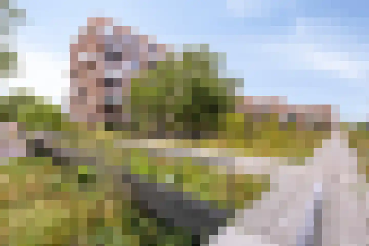 't Holle Goed 157 Veenendaal thumbnail 20
