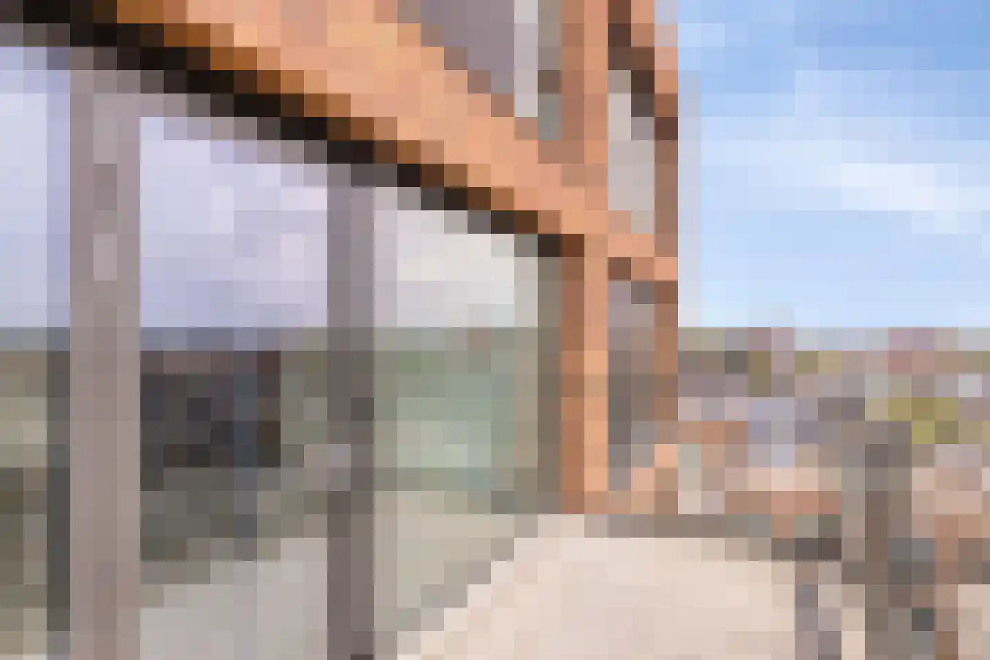 't Holle Goed 157 Veenendaal thumbnail 21