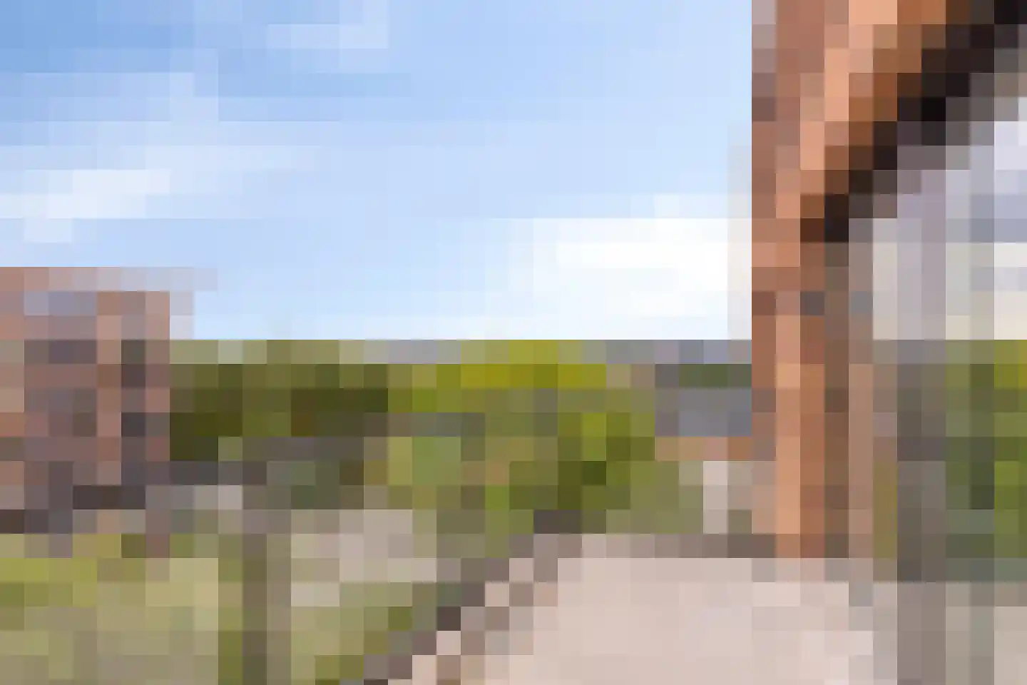 't Holle Goed 157 Veenendaal thumbnail 6