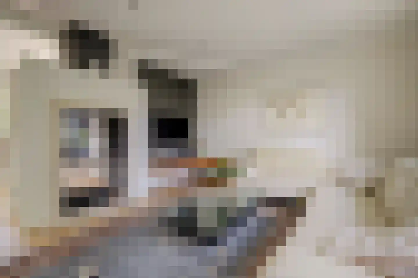 't Höltje 46 Helden thumbnail 15