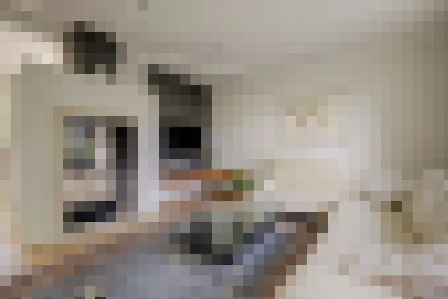 't Höltje 46 Helden foto 2