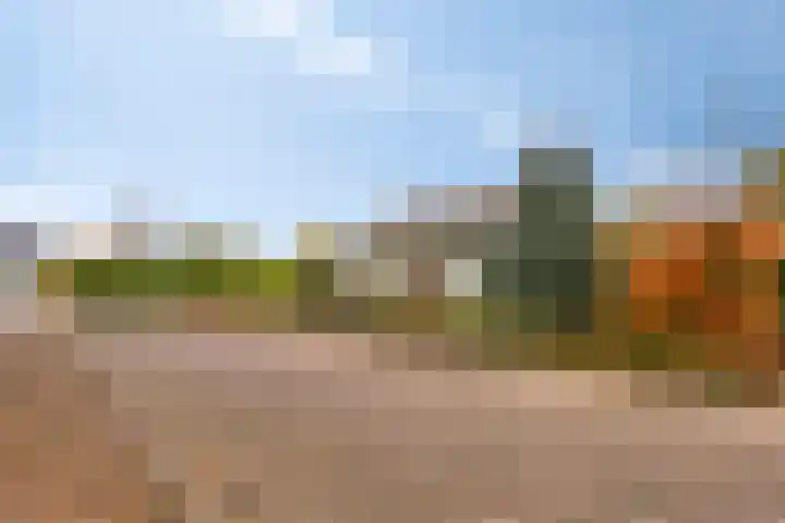 't Höltje 48 Helden foto 3
