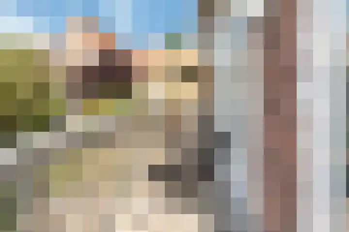 't Höltje 48 Helden thumbnail 31