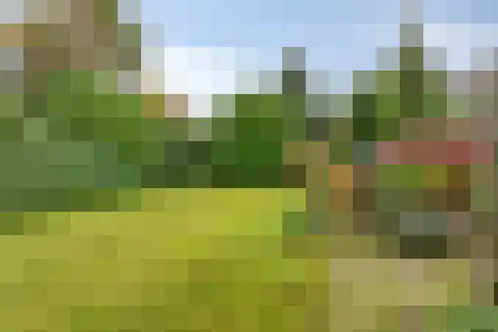 't Höltje 48 Helden thumbnail 34