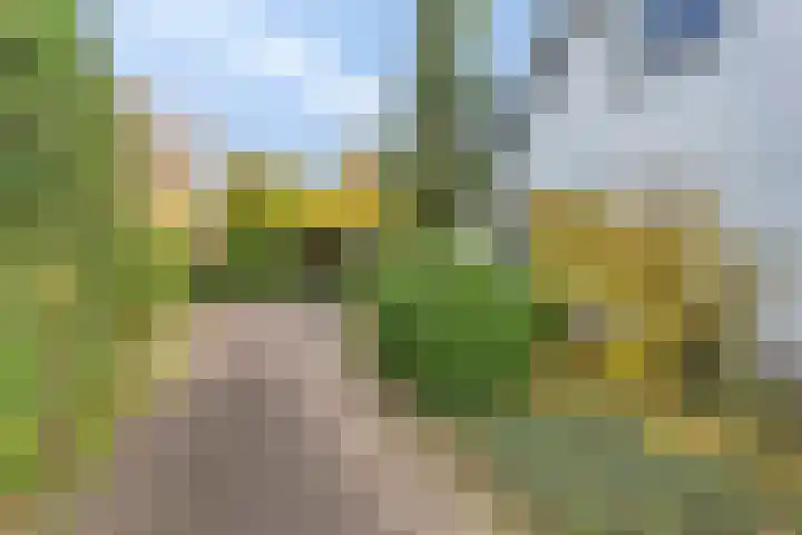 't Höltje 48 Helden thumbnail 38