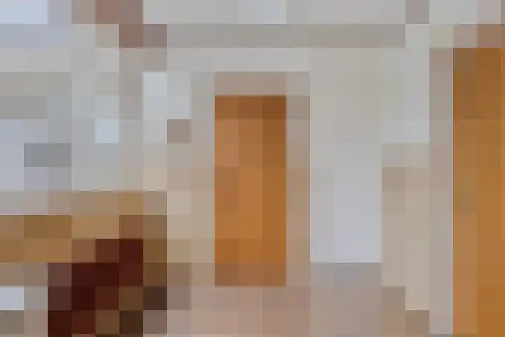 't Höltje 7 Helden thumbnail 14