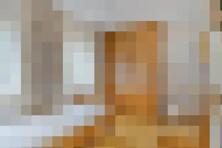 't Höltje 7 Helden thumbnail 23