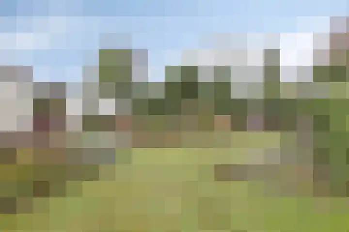 't Höltje 7 Helden thumbnail 29