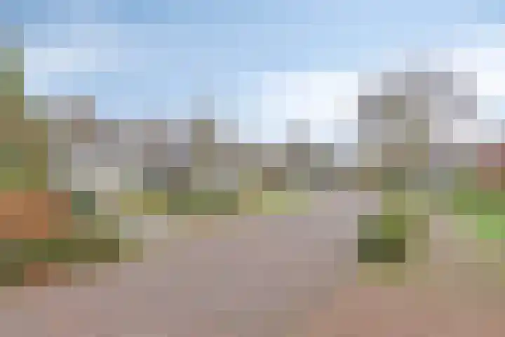 't Höltje 7 Helden foto 3