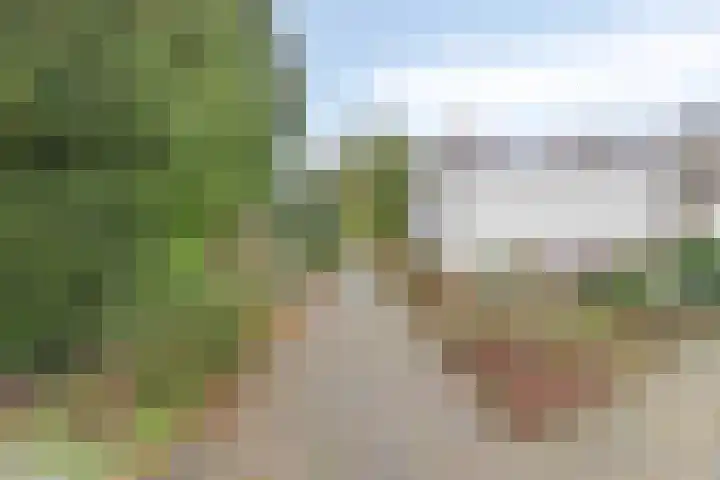 't Höltje 7 Helden thumbnail 5