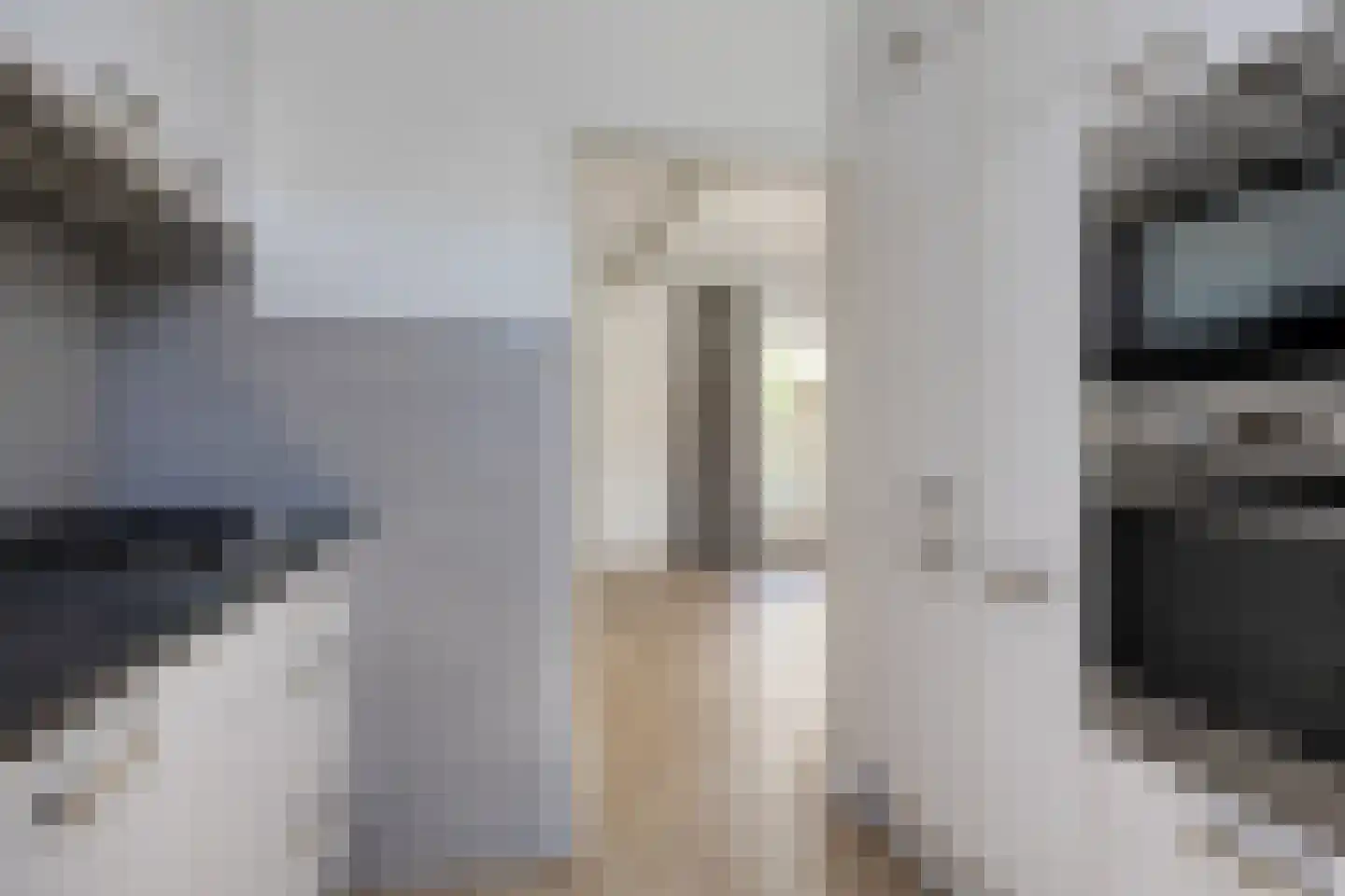 't Holtstek 16 Bedum thumbnail 16