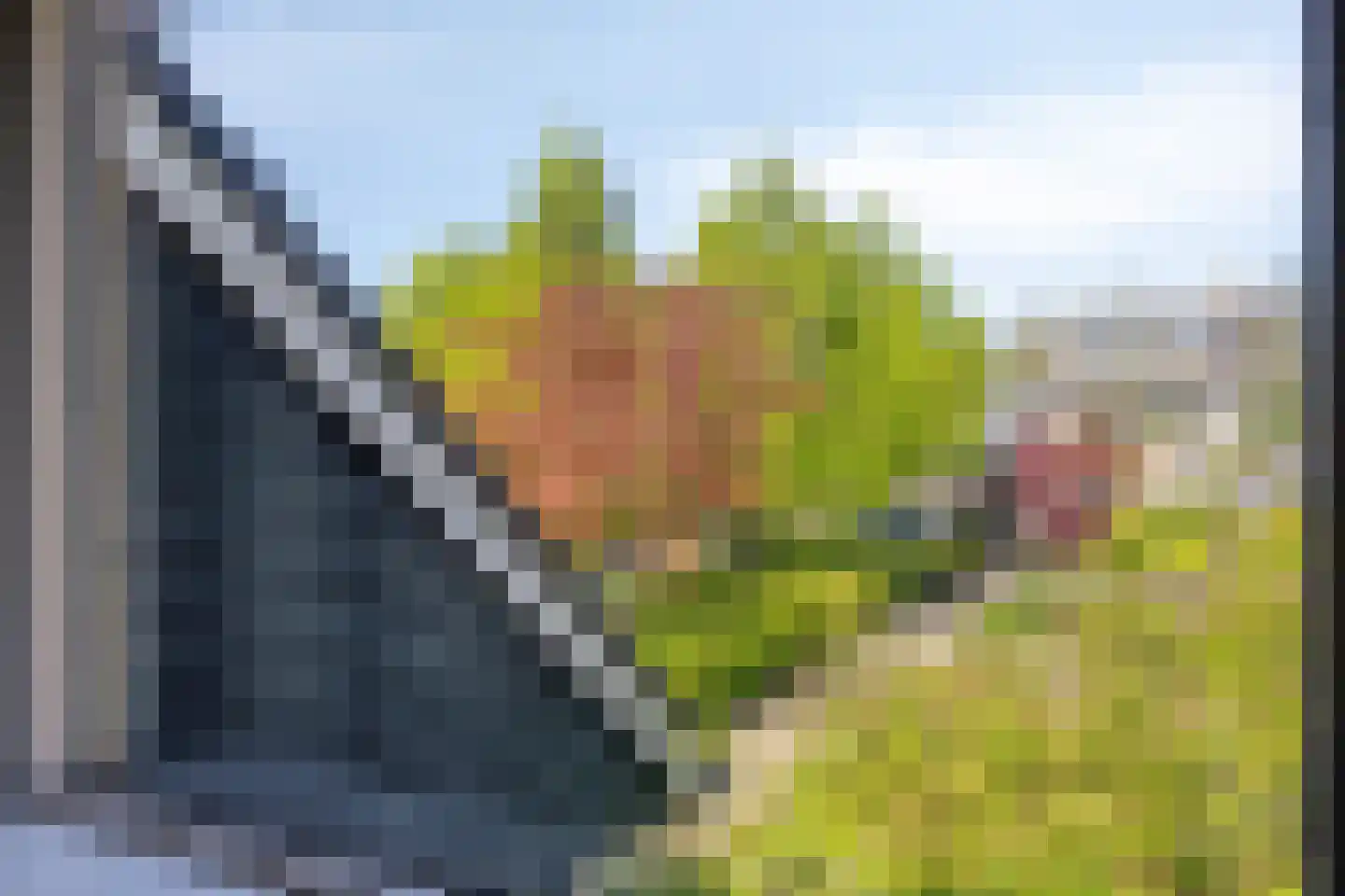 't Holtstek 16 Bedum thumbnail 25