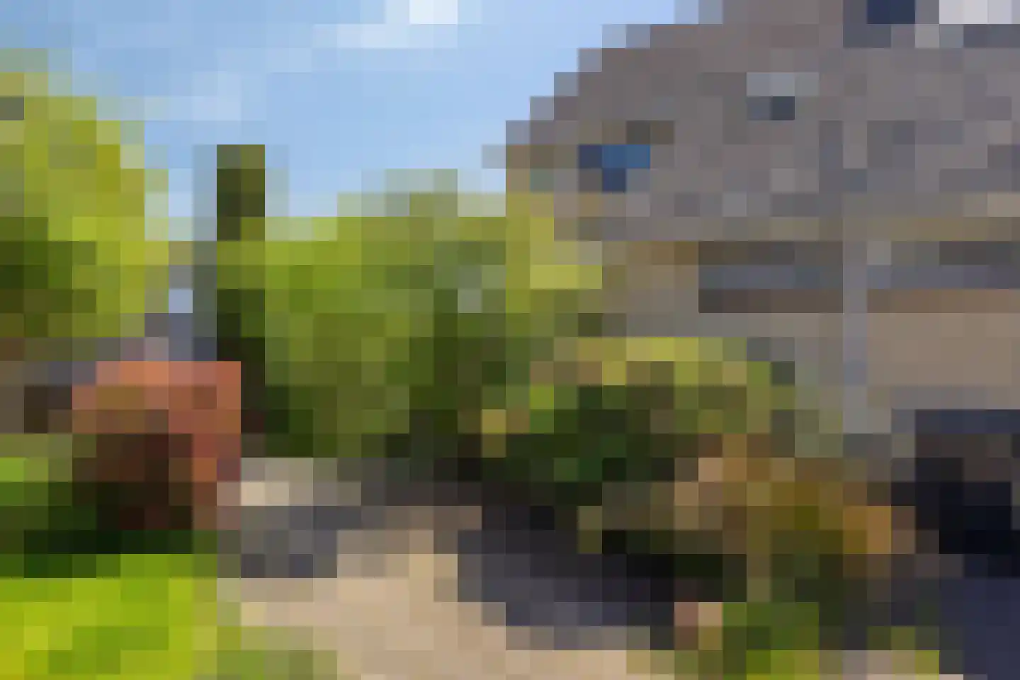 't Holtstek 16 Bedum thumbnail 6