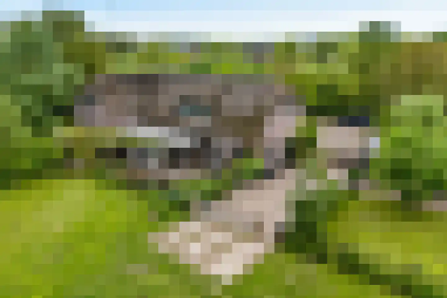 't Hoog 1 Vleuten thumbnail 11
