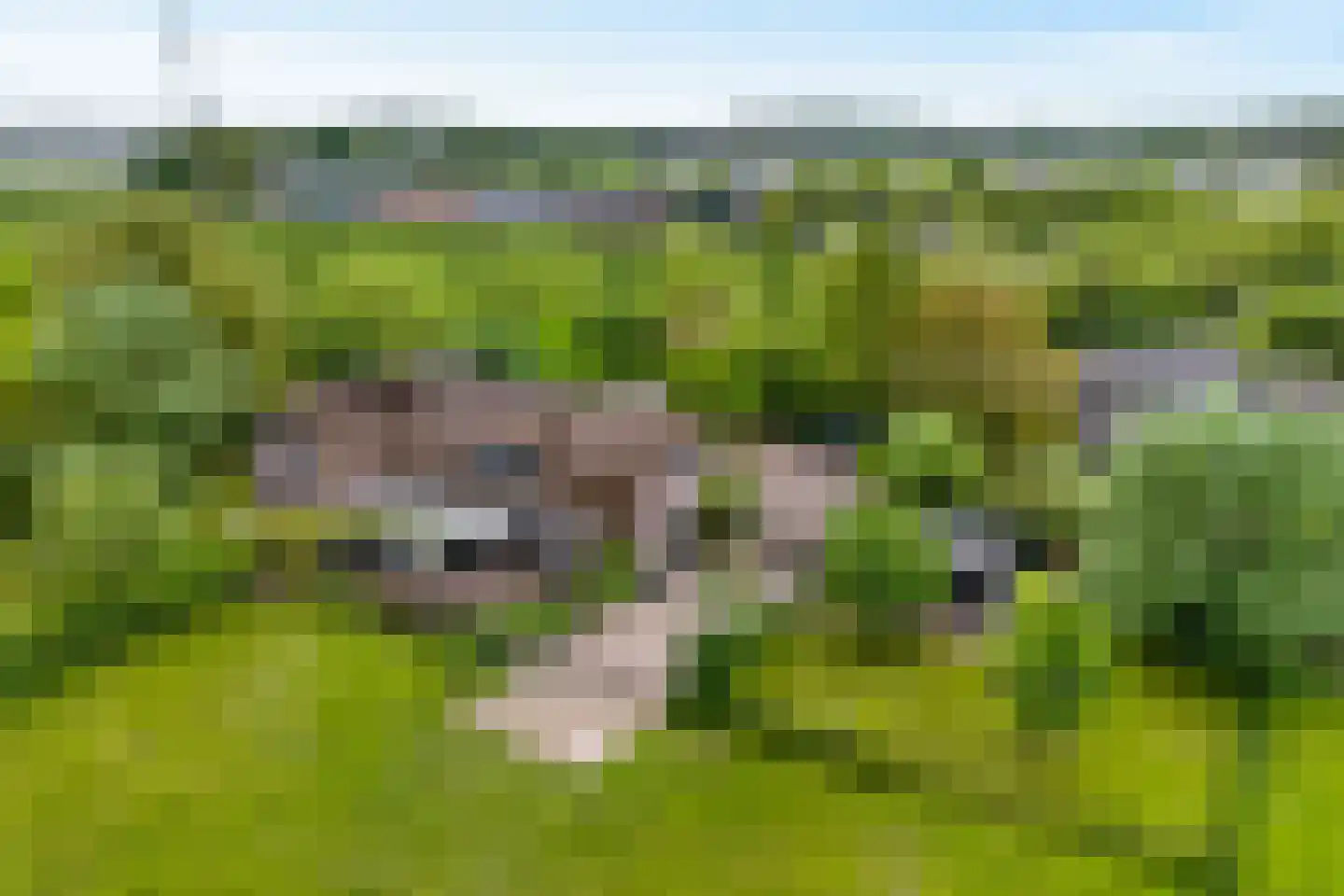 't Hoog 1 Vleuten thumbnail 13