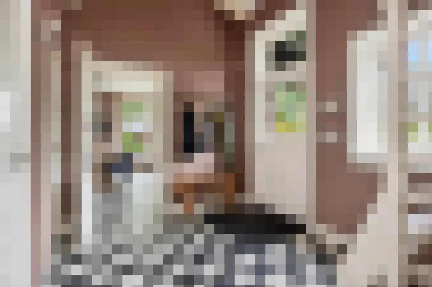 't Hoog 1 Vleuten thumbnail 17