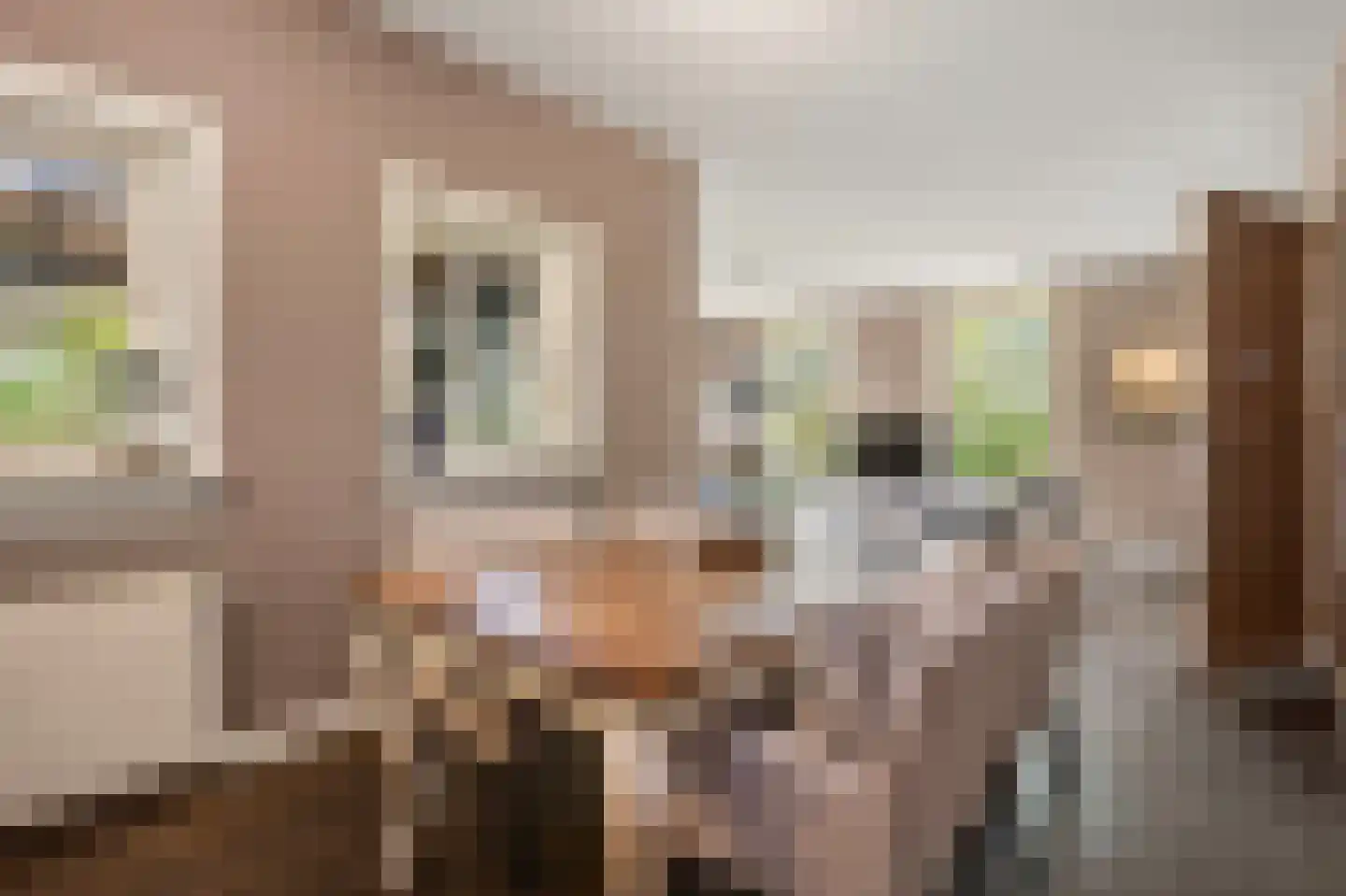 't Hoog 1 Vleuten thumbnail 30