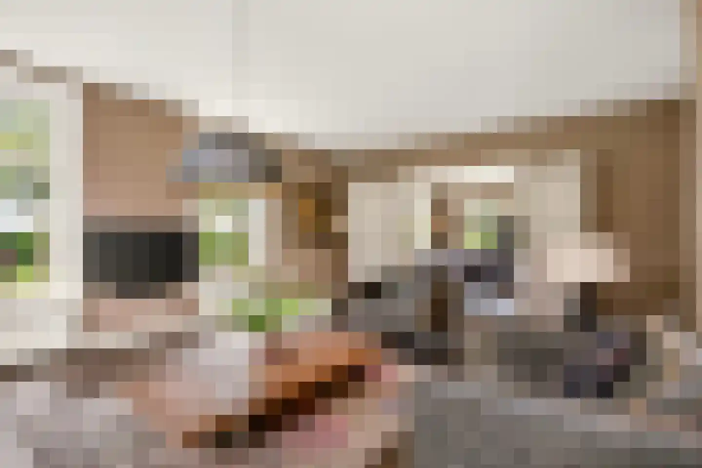 't Hoog 1 Vleuten thumbnail 31
