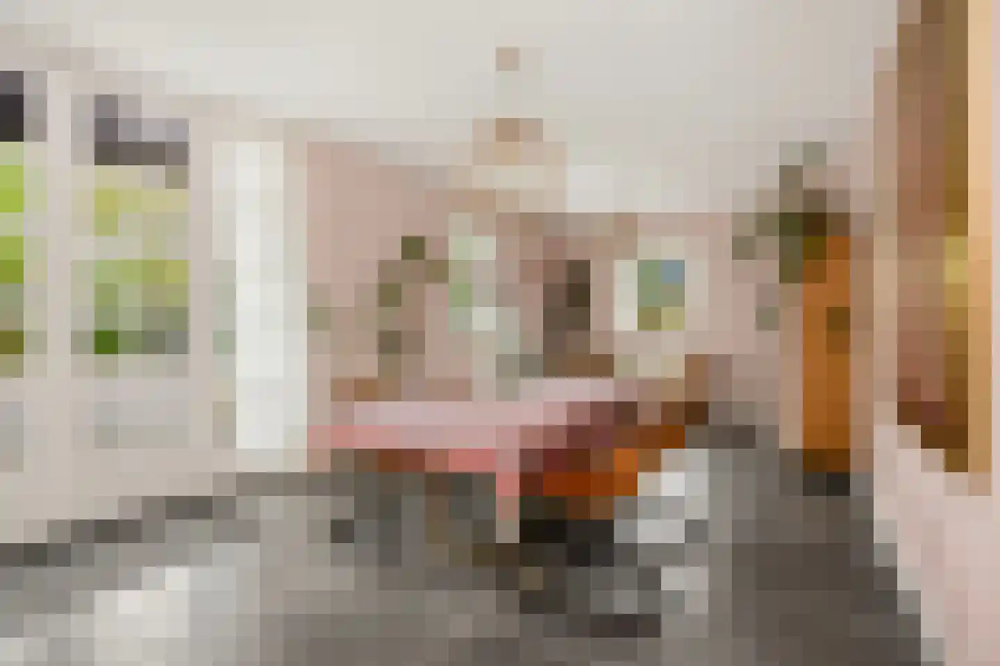 't Hoog 1 Vleuten thumbnail 36