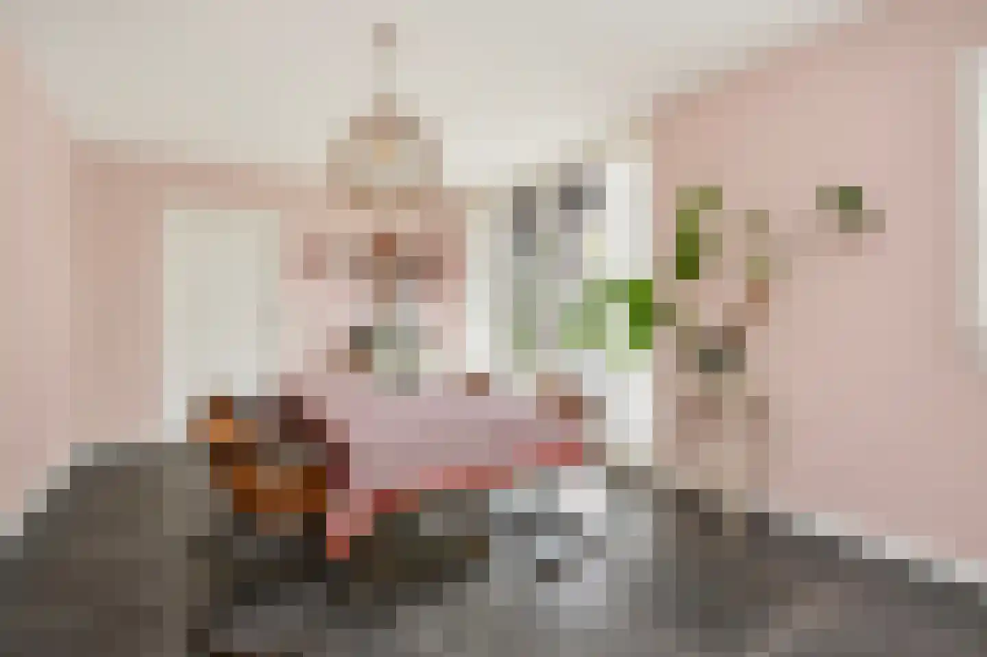 't Hoog 1 Vleuten thumbnail 38