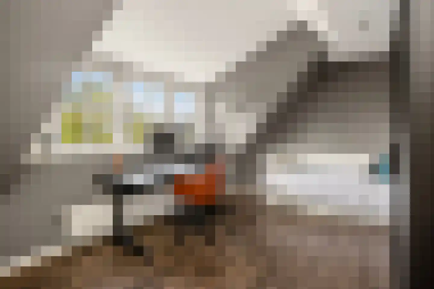 't Hoog 1 Vleuten thumbnail 49