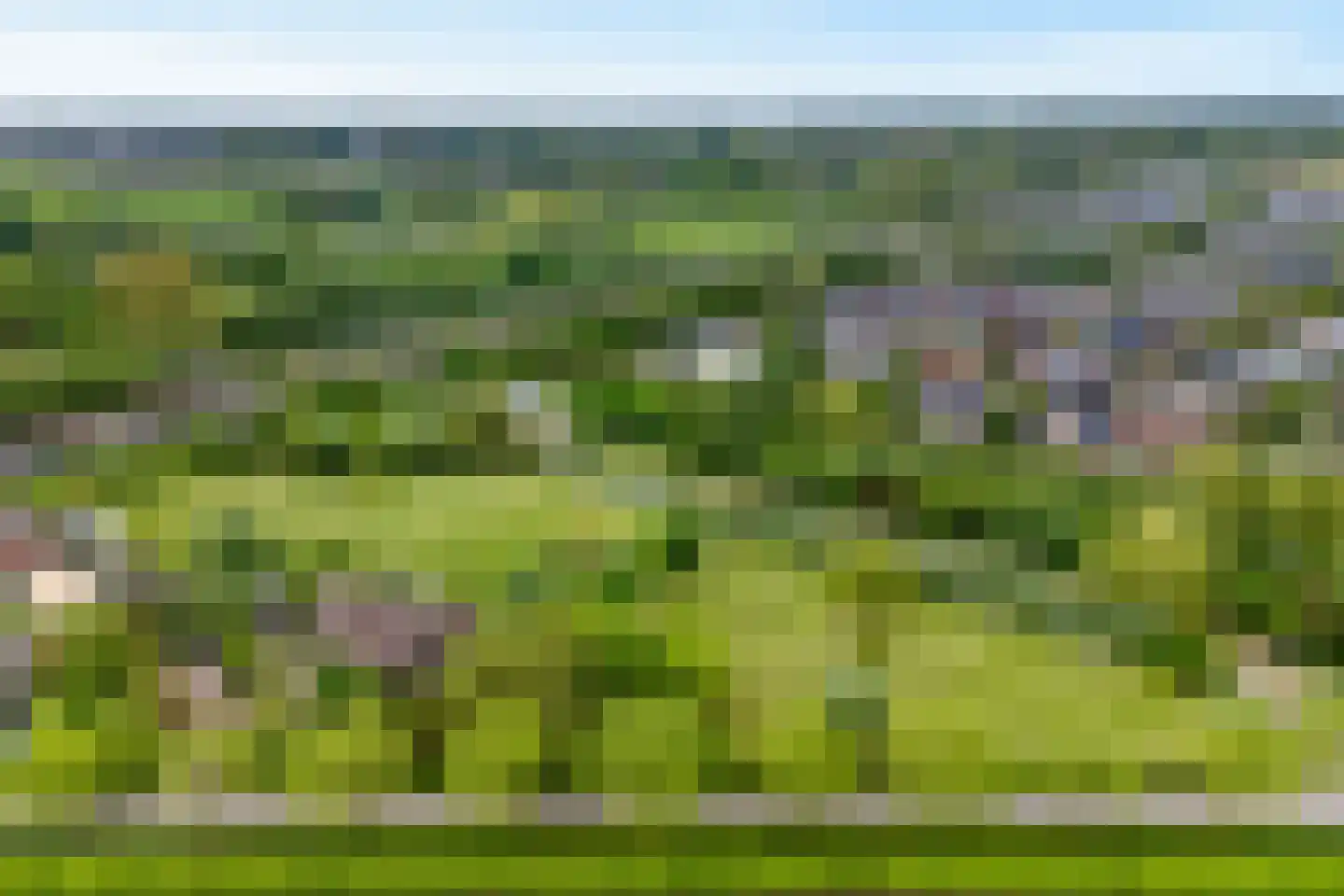 't Hoog 1 Vleuten thumbnail 5