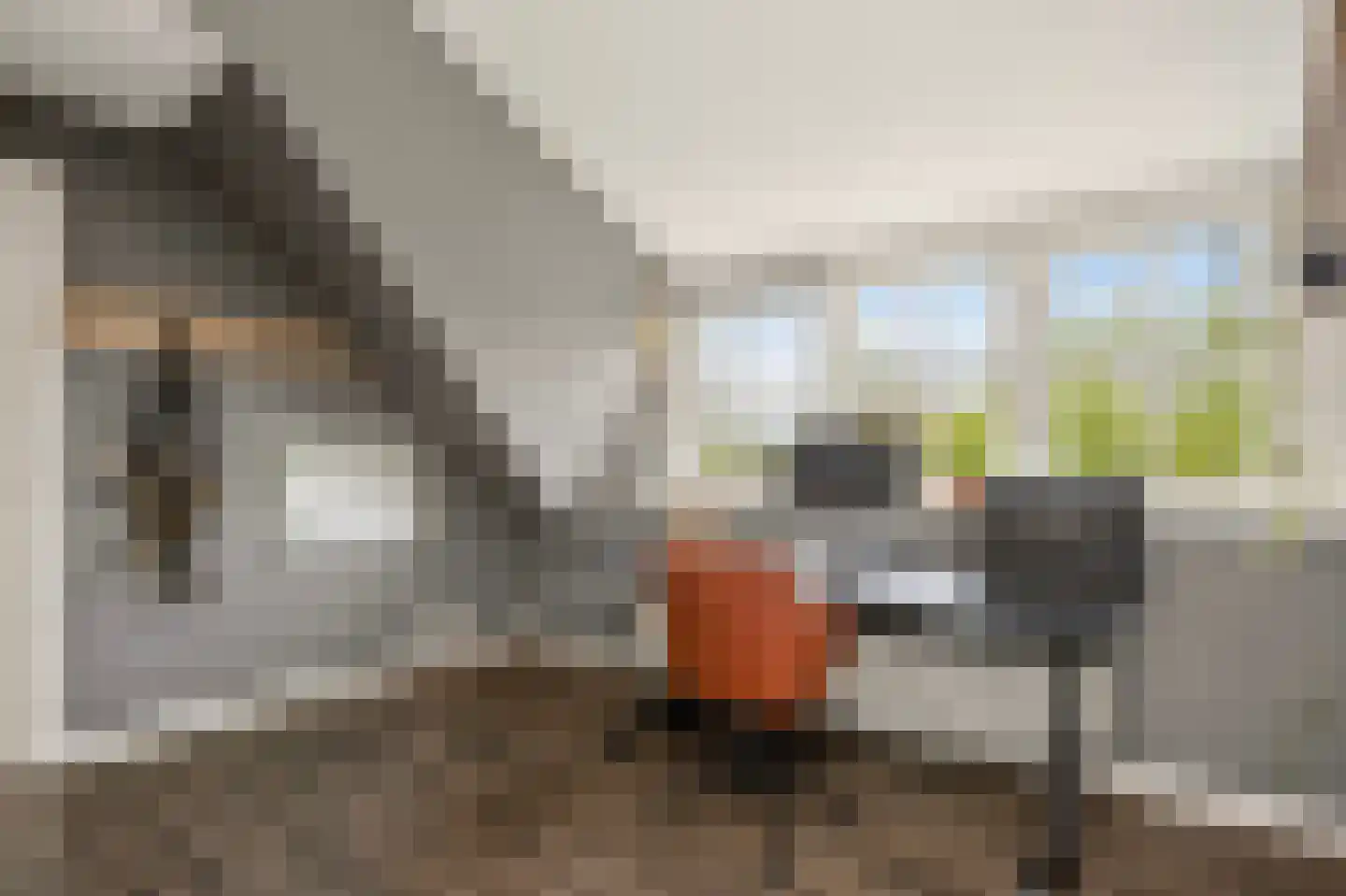 't Hoog 1 Vleuten thumbnail 50