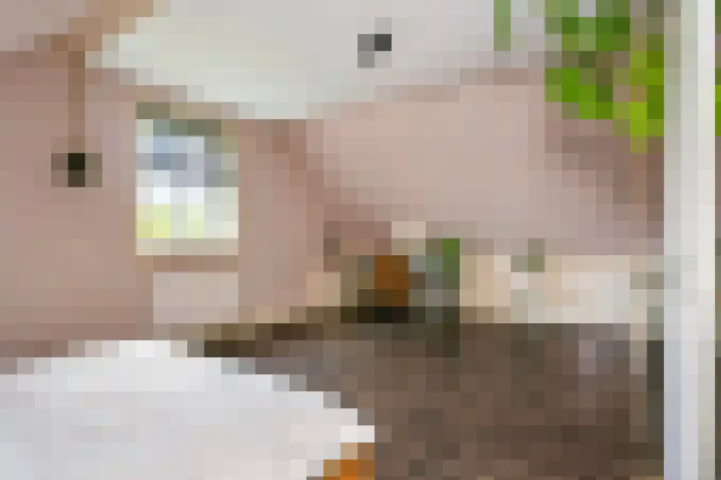 't Hoog 1 Vleuten thumbnail 56