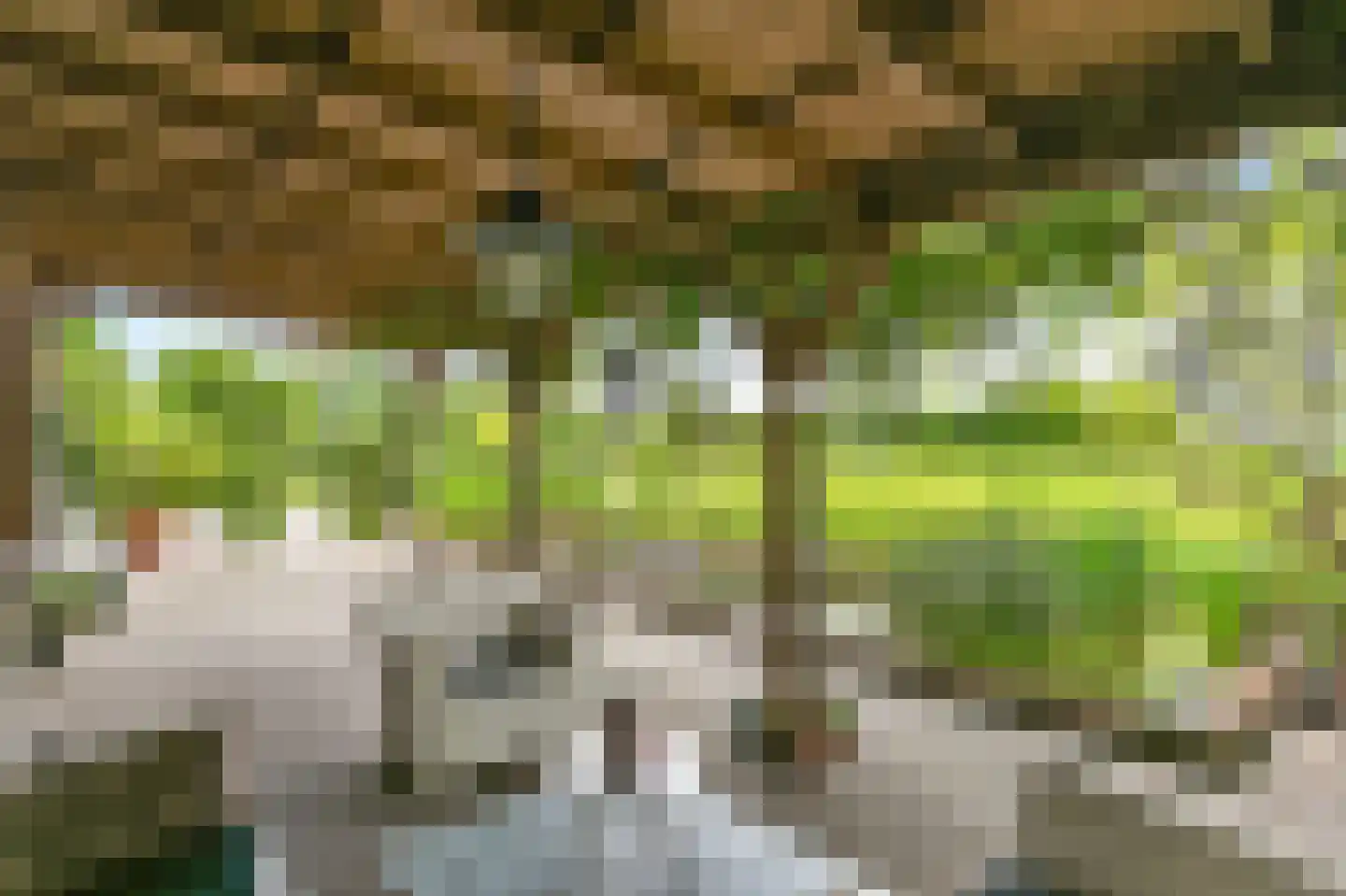 't Hoog 1 Vleuten thumbnail 58