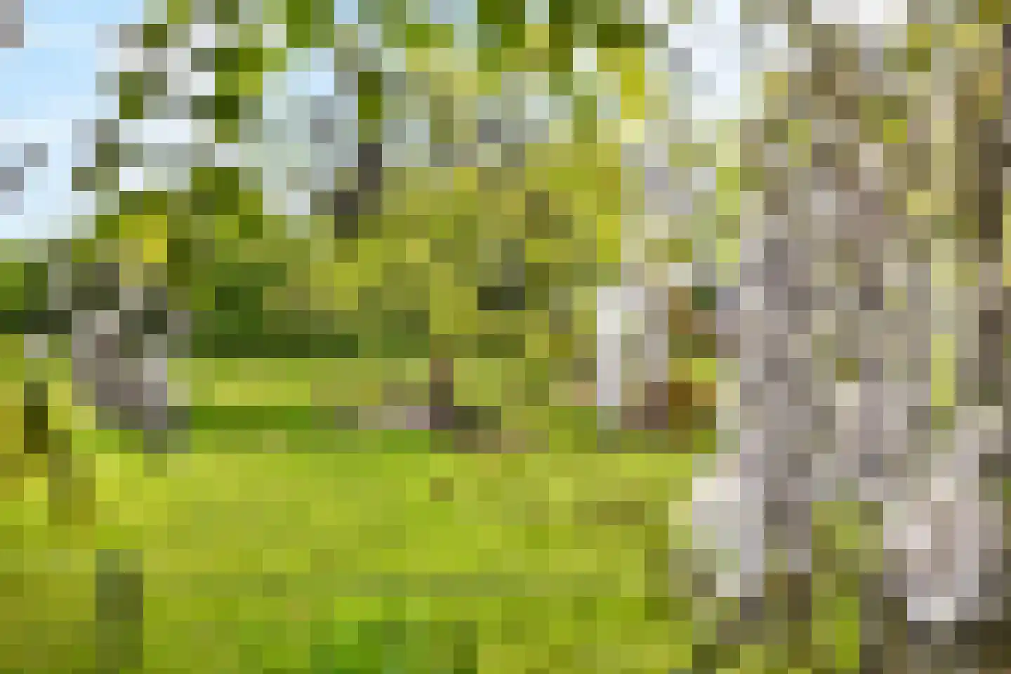 't Hoog 1 Vleuten thumbnail 59