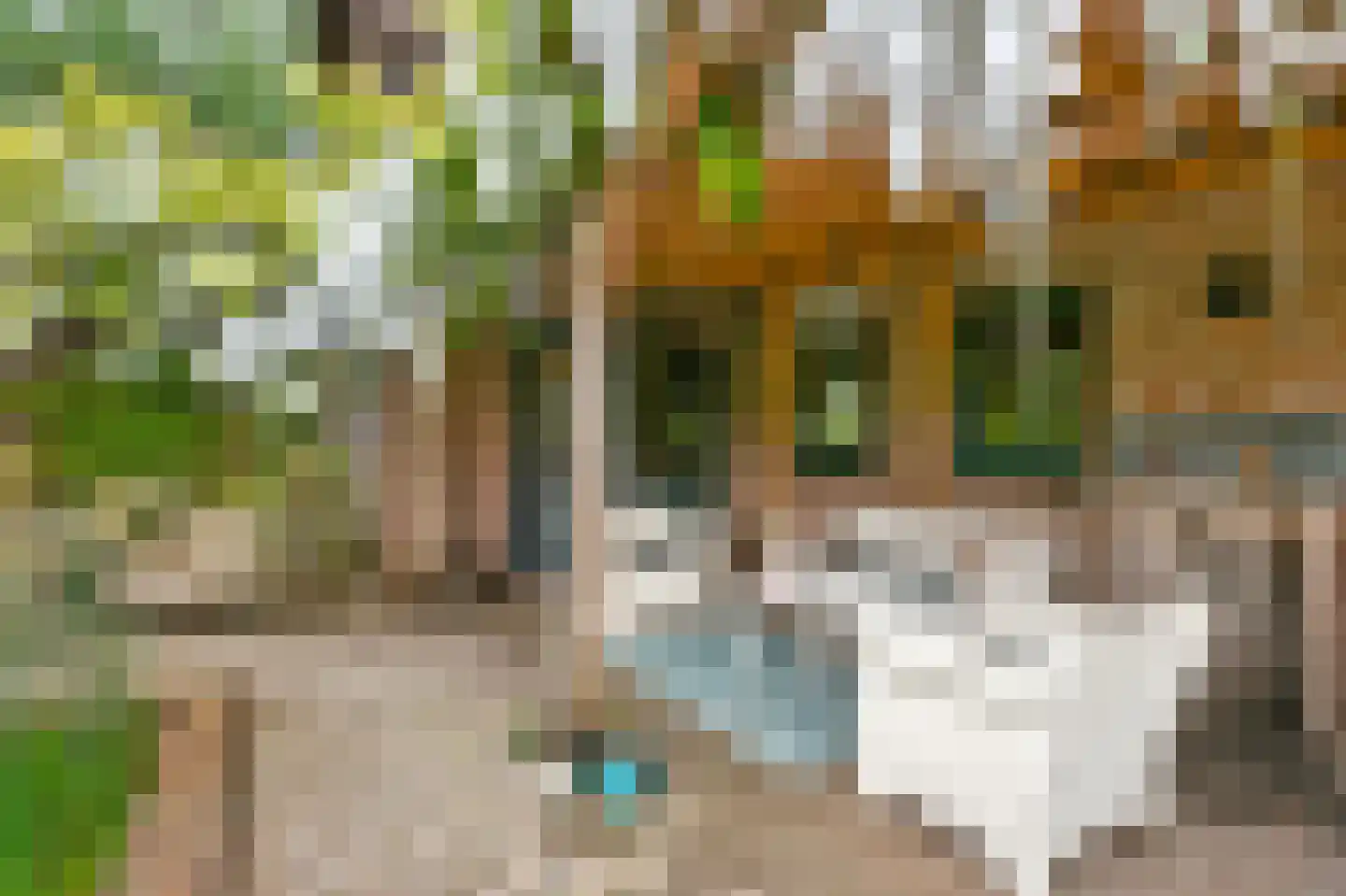 't Hoog 1 Vleuten thumbnail 62