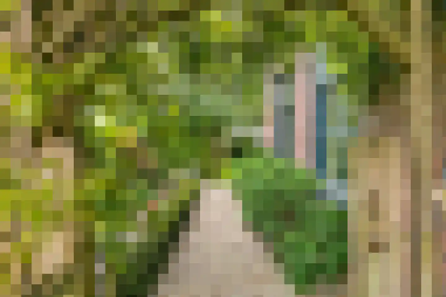 't Hoog 1 Vleuten thumbnail 63