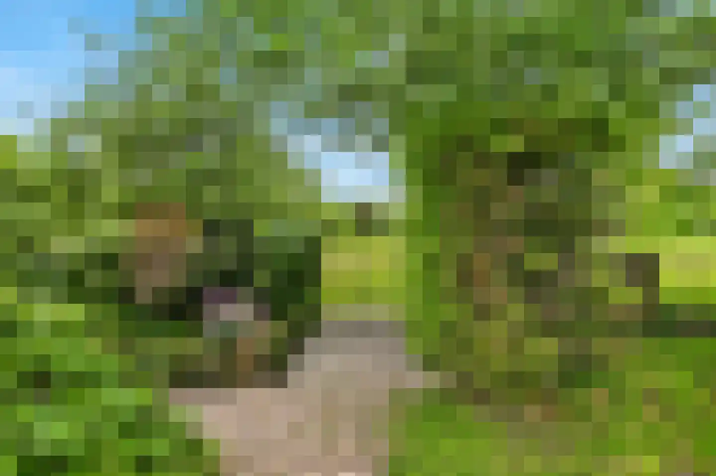 't Hoog 1 Vleuten thumbnail 68