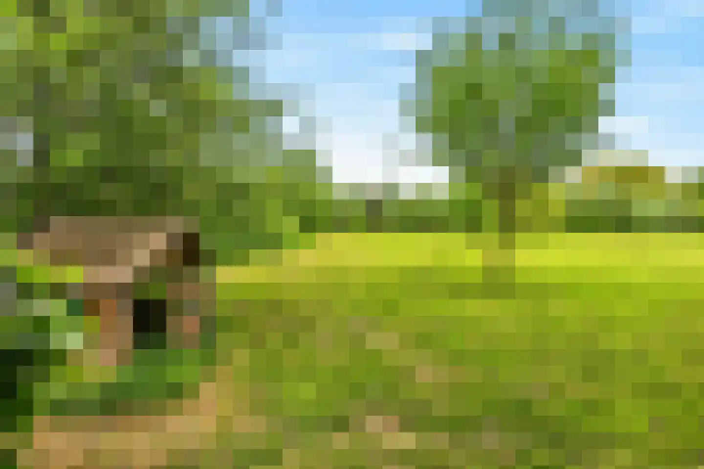 't Hoog 1 Vleuten thumbnail 69