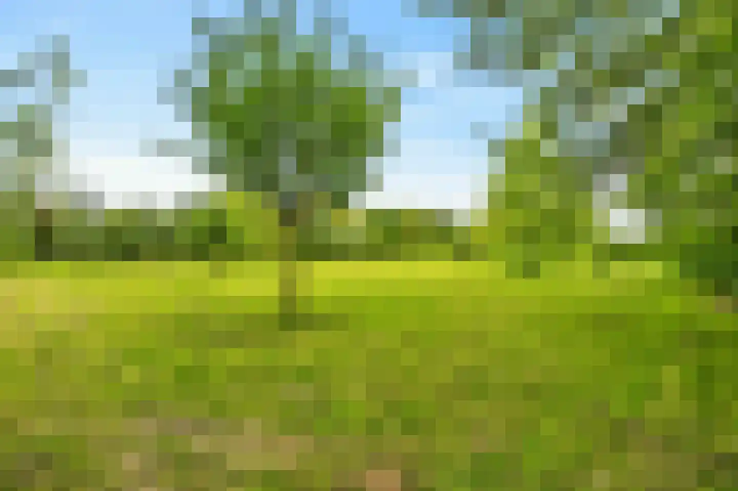 't Hoog 1 Vleuten thumbnail 70