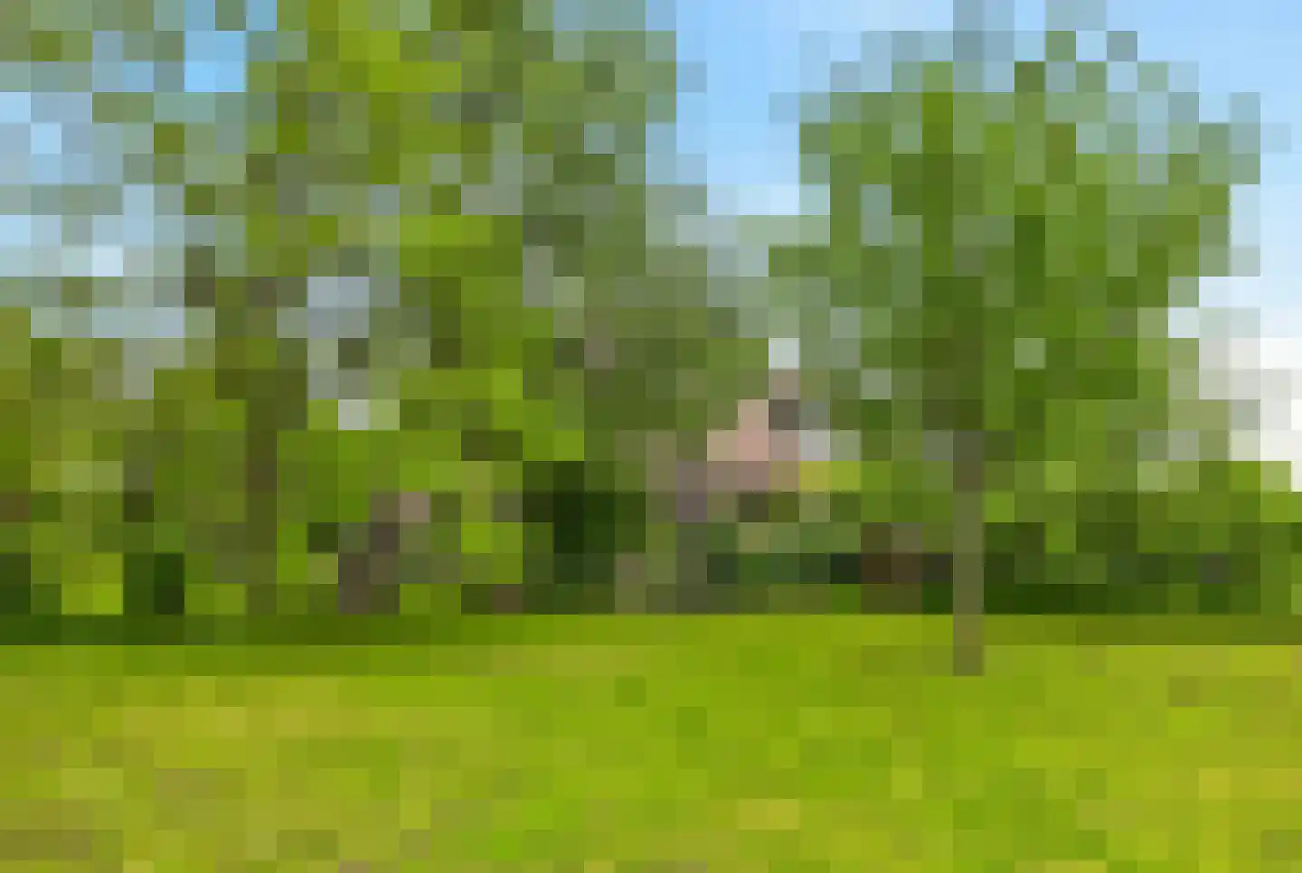 't Hoog 1 Vleuten thumbnail 71
