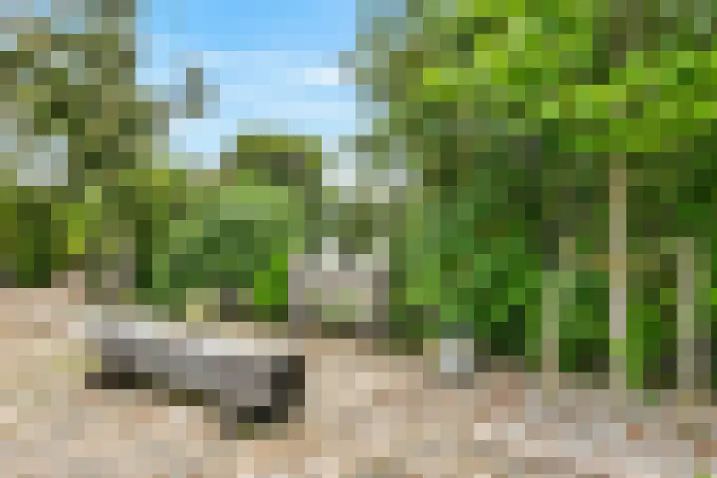 't Hoog 1 Vleuten thumbnail 73