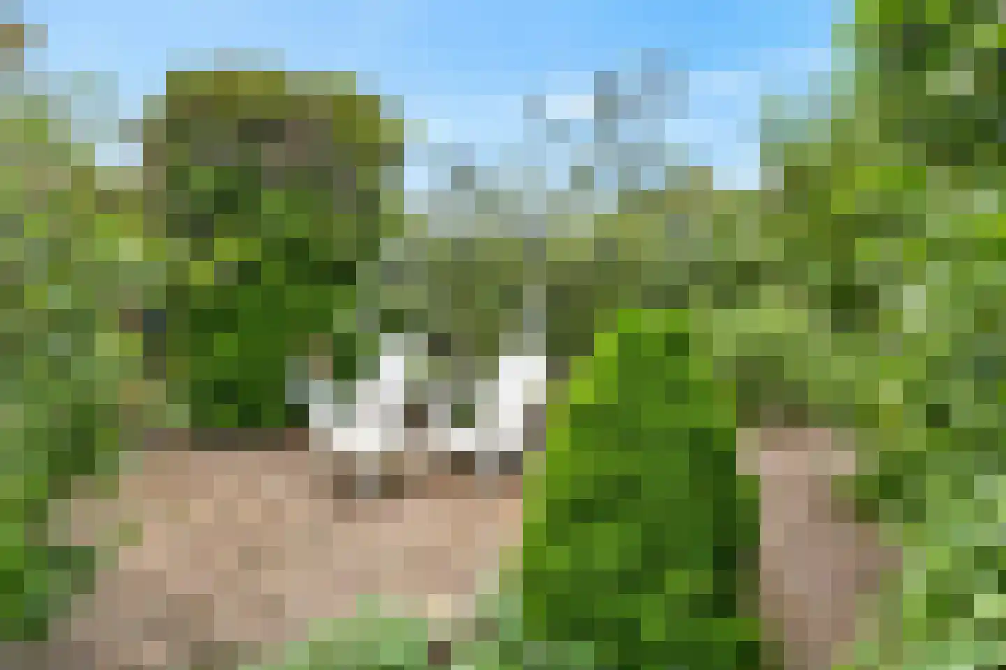 't Hoog 1 Vleuten thumbnail 74