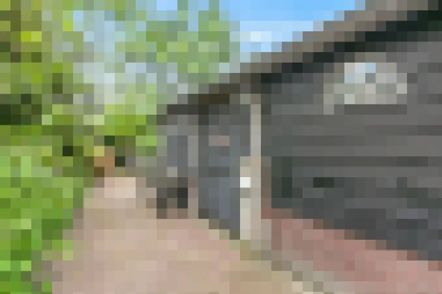 't Hoog 1 Vleuten thumbnail 75