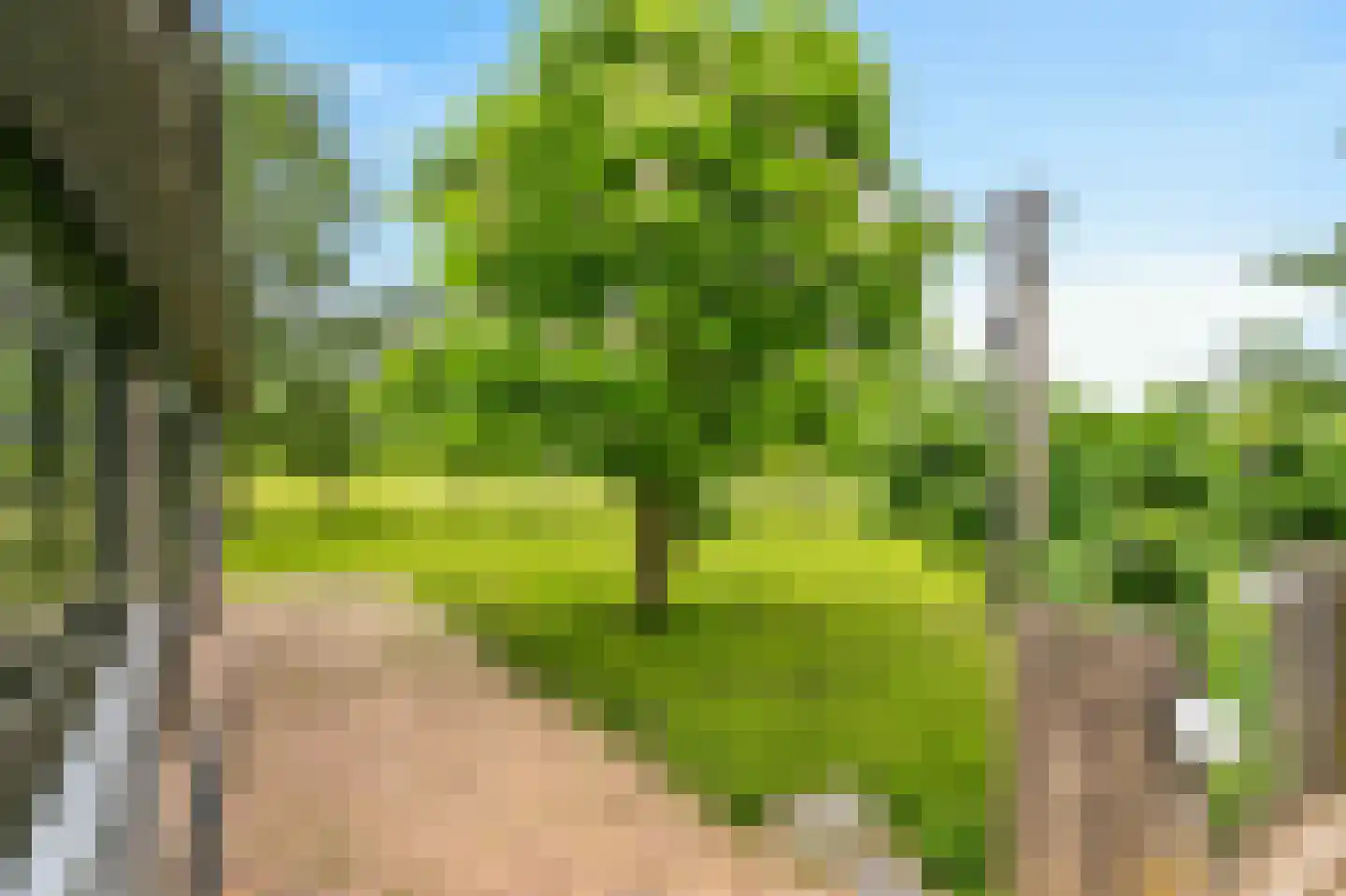 't Hoog 1 Vleuten thumbnail 77