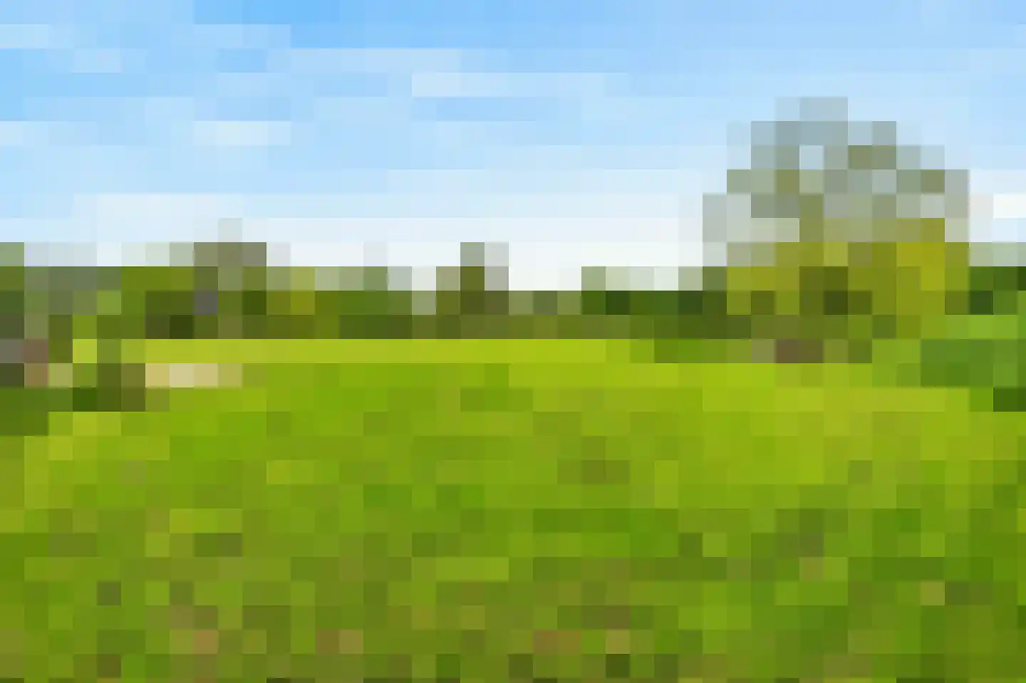 't Hoog 1 Vleuten thumbnail 81