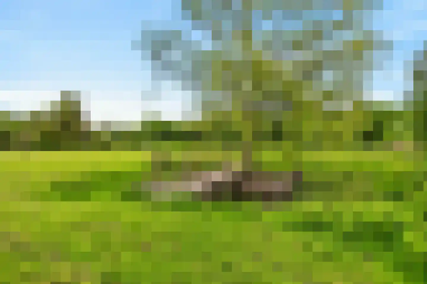 't Hoog 1 Vleuten thumbnail 82