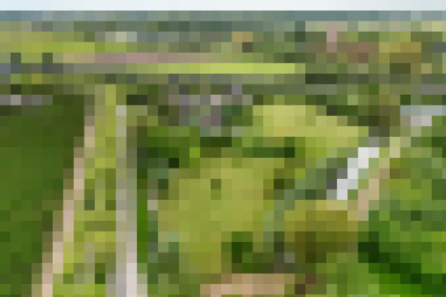 't Hoog 1 Vleuten thumbnail 87