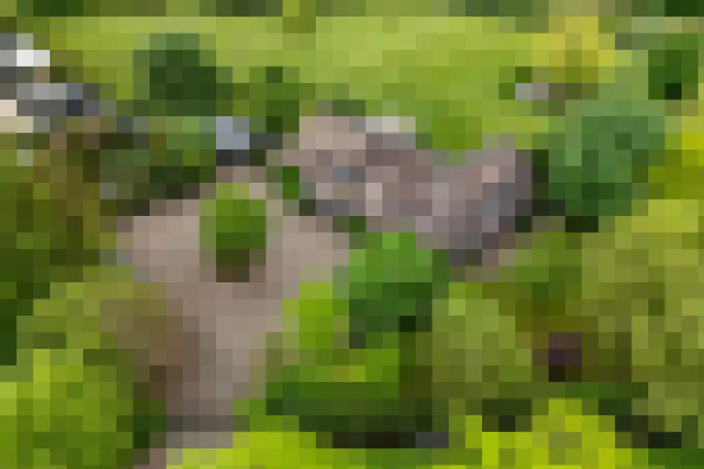 't Hoog 1 Vleuten thumbnail 9