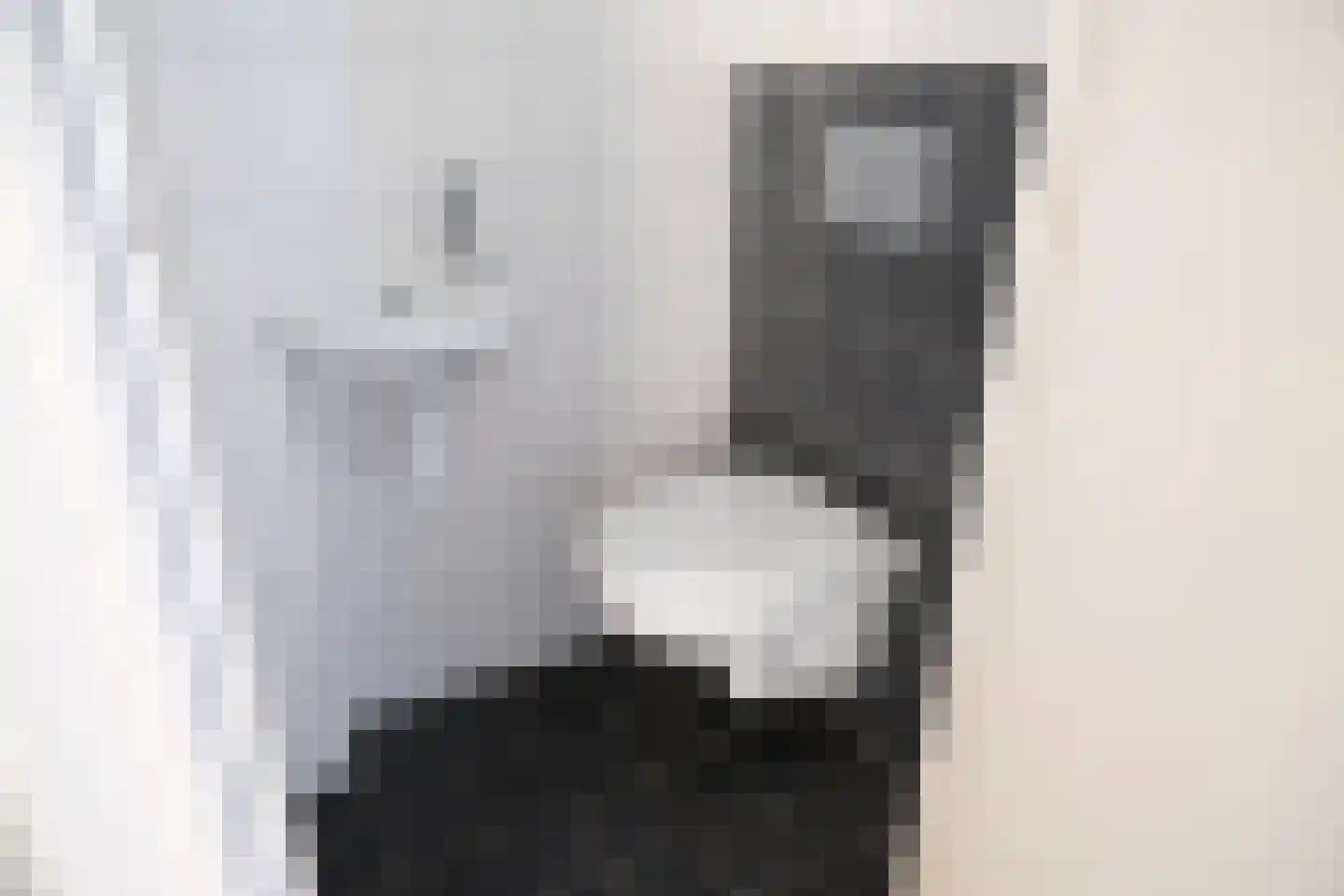 't Hoog 10 Hoogblokland thumbnail 4